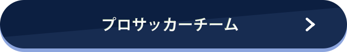 プロサッカーチーム